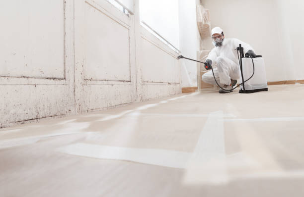 24/7 Emergency Mold Removal experts in Sanford, NC