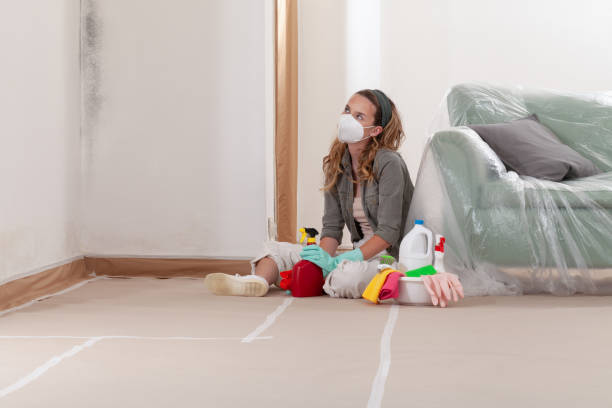 Reliable Basement Mold Removal contractor in Sanford, NC by Cheap Mold Removal
